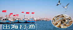 體驗漁民生活-樂亭出海捕魚